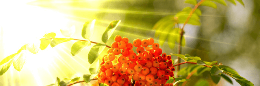 Музыкальный Урал